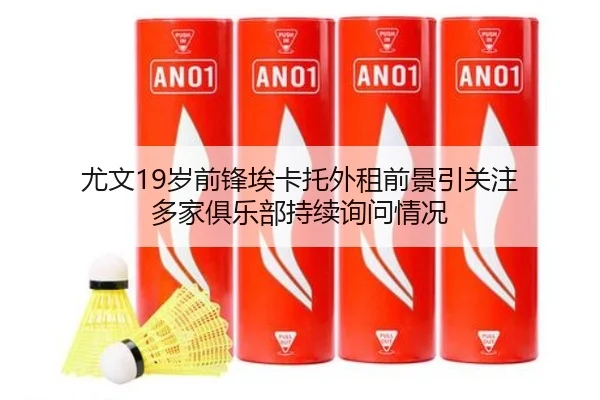 尤文19岁前锋埃卡托外租前景引关注 多家俱乐部持续询问情况